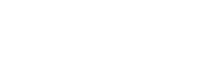 Flippin